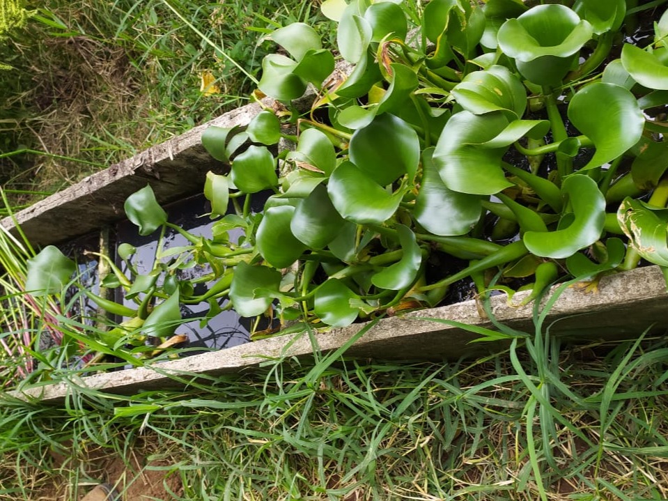 75 plantas de tratamiento